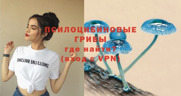 индика Бугульма