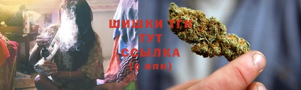 индика Бугульма