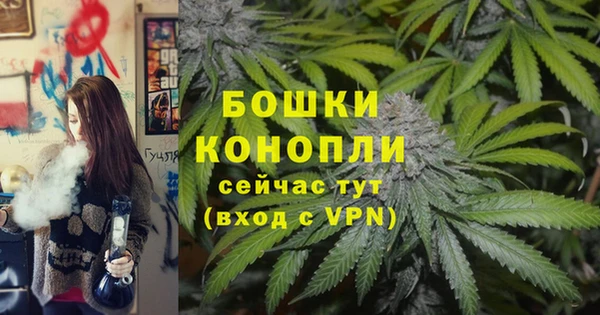 индика Бугульма