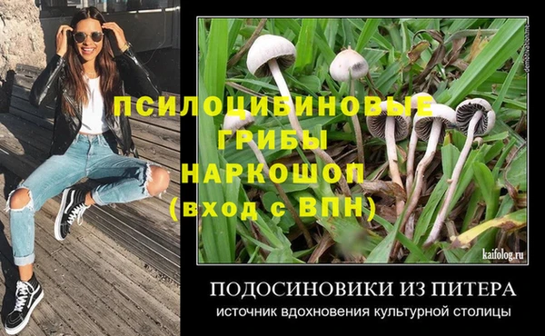 индика Бугульма