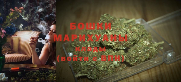 индика Бугульма