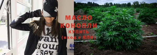 индика Бугульма