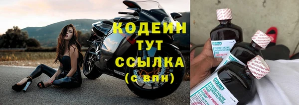 индика Бугульма